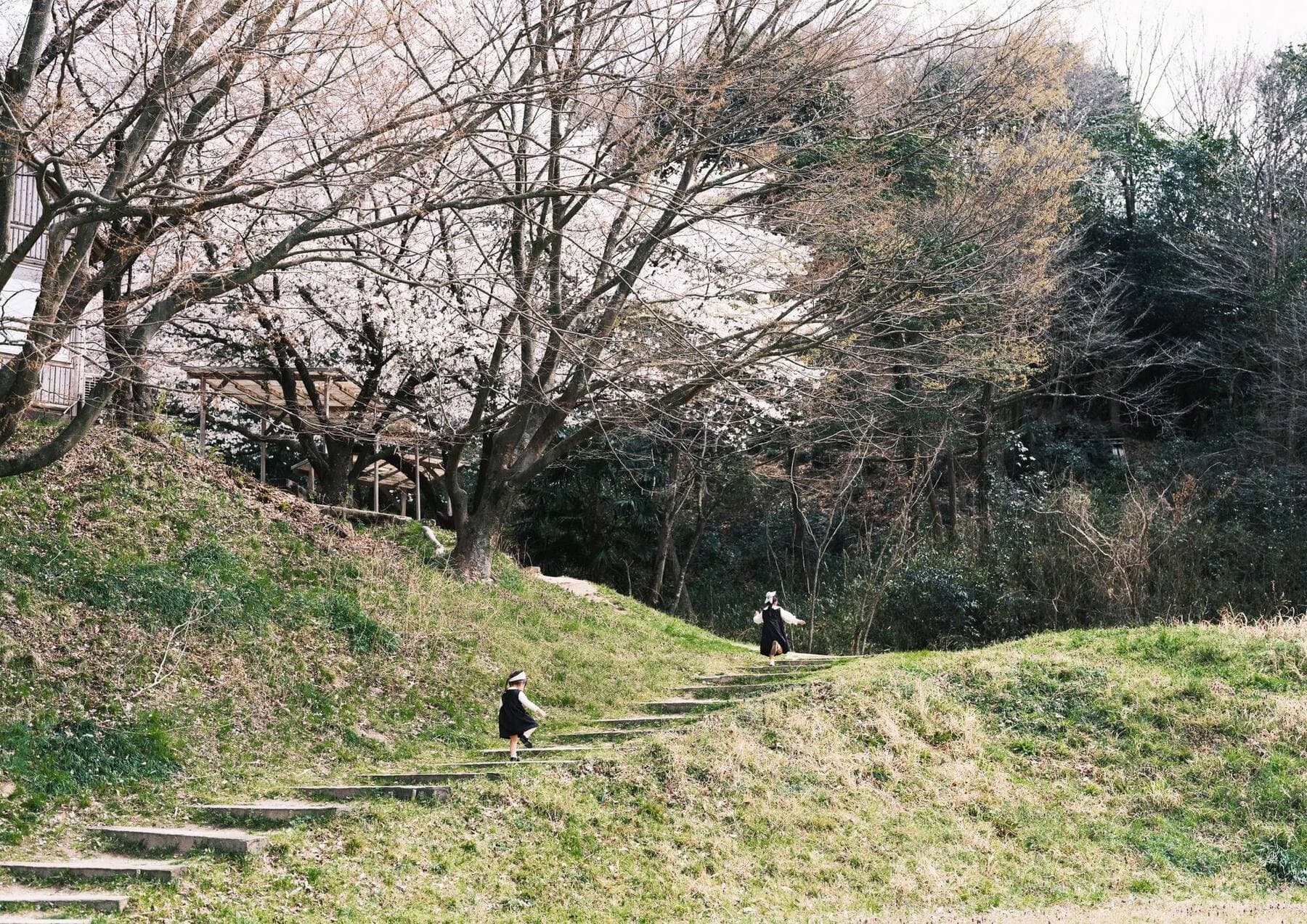 © Shintaro Arase